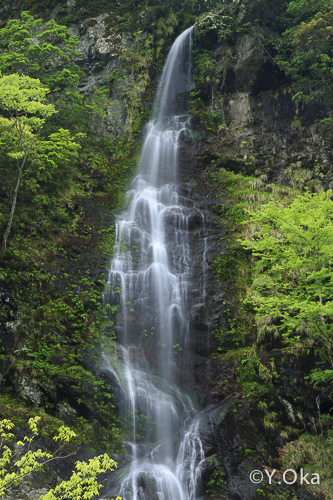 不動滝(高滝)