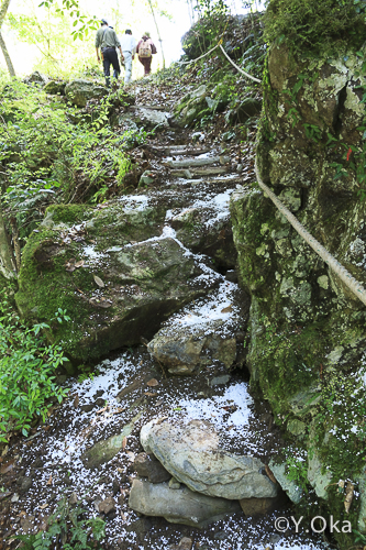 瀬野の滝道普請