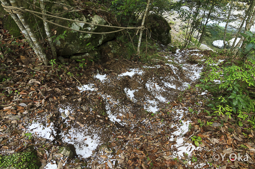 瀬野の滝道普請