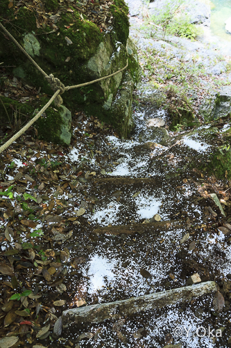 瀬野の滝道普請