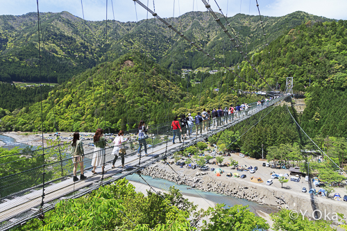 吊り橋 谷瀬 の