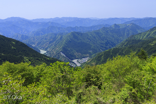 新緑の玉置山
