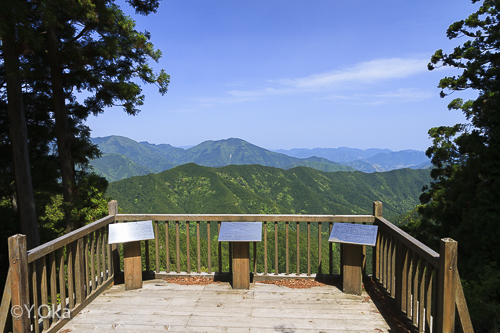 新緑の玉置山
