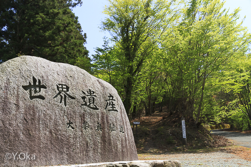 新緑の玉置山