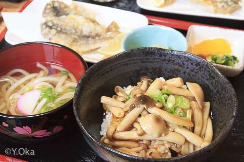 滝の湯きのこ丼