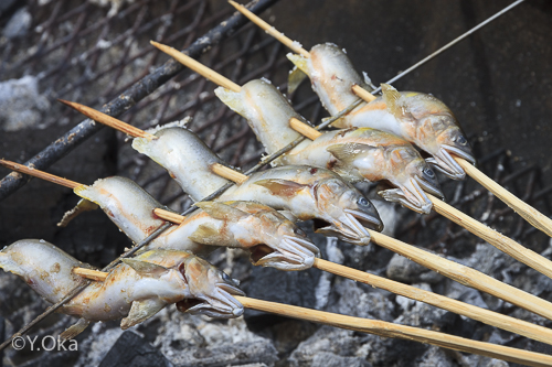 十津川食いもん市