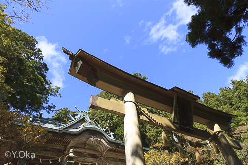 玉置神社例大祭