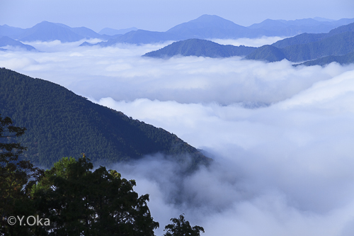 玉置山雲海