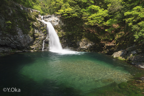 瀬野の滝