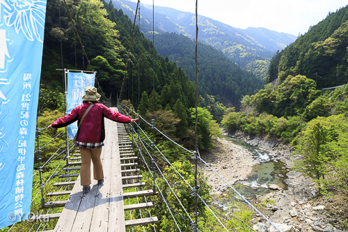 大野出合吊り橋