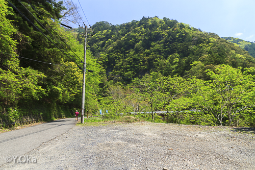 大野出合瀬野の滝