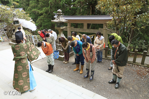玉置神社花がら摘み