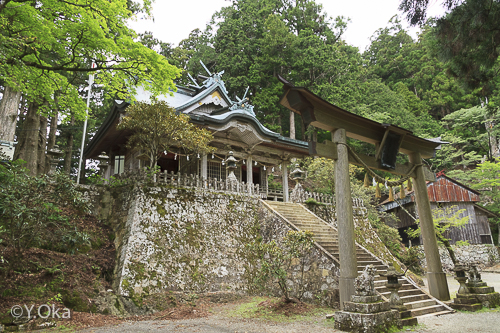 玉置神社花がらつみ