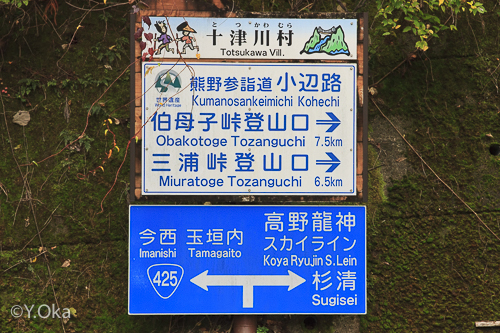 林道川津今西線