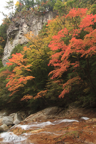 笹の滝の紅葉