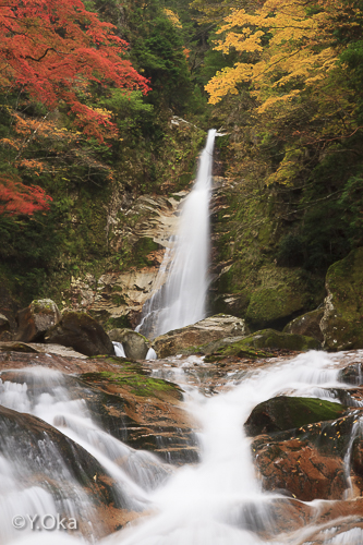笹の滝紅葉