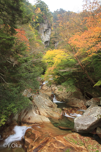 笹の滝紅葉