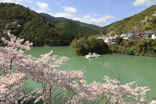 十津川 温泉