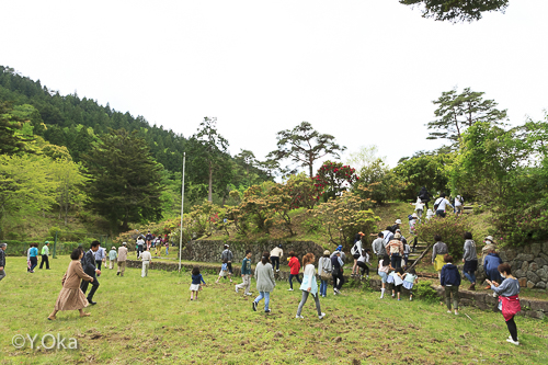 シャクナゲ