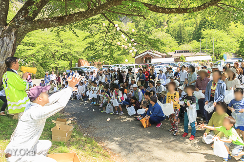 石楠花まつり