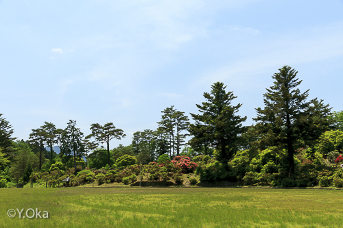 21世紀の森・紀伊半島森林植物公園