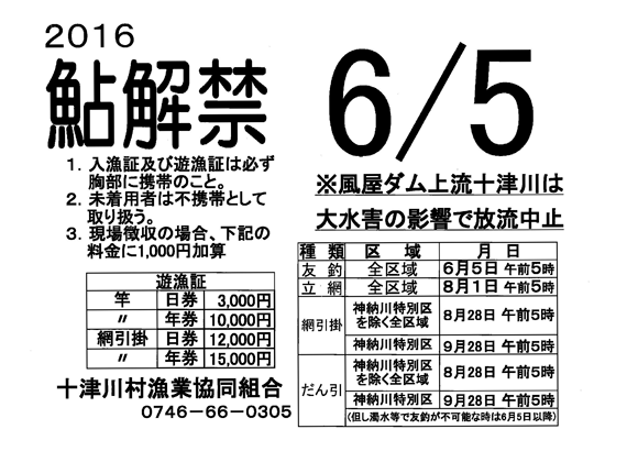 鮎解禁