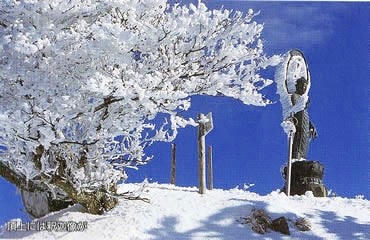 釈迦ヶ岳(十津川村)