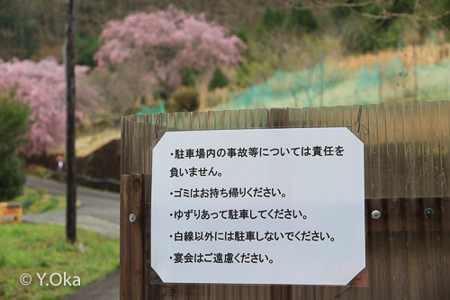 ¼·Ï¯ºù