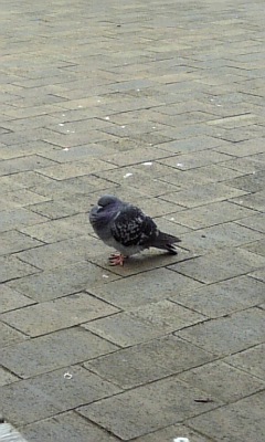 DVC00120.jpg