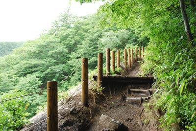 整備された登山道出だし