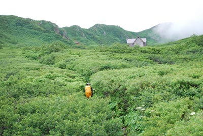 八合目の小屋が見える