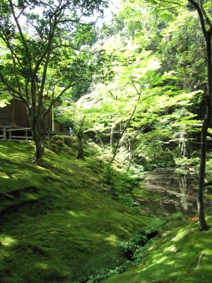 苔寺