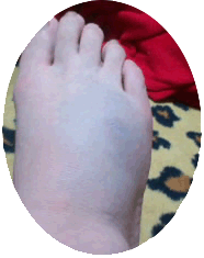 ¶¯ÂǸå
