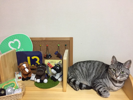 馬と猫