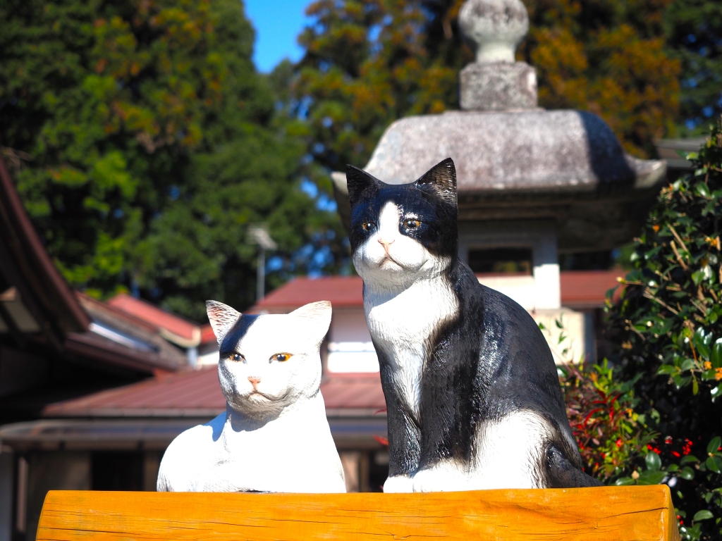 猫の木像」の奉納 | 報徳二宮神社だより