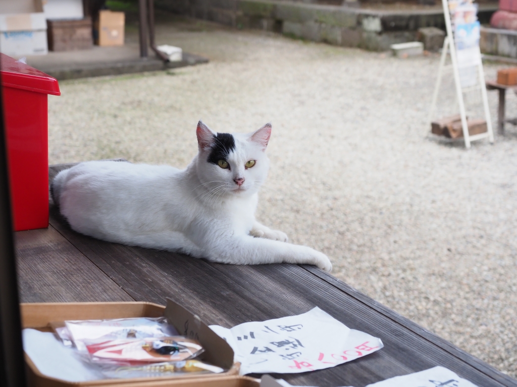 詳細不明 掛け軸 二宮尊徳？ 猫の木像」の奉納 | 報徳二宮神社だより