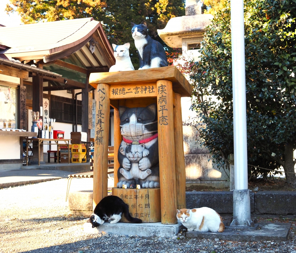 詳細不明 掛け軸 二宮尊徳？ 猫の木像」の奉納 | 報徳二宮神社だより