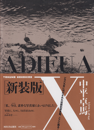 ★ 関口正夫 限定500部 写真集 「こと 1969-2003」 ★ こと 1969-2003 - 関口 正夫 / Masao Sekiguchi