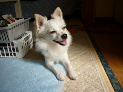 待ちぼうけ2