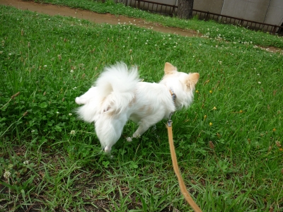 雨降り3