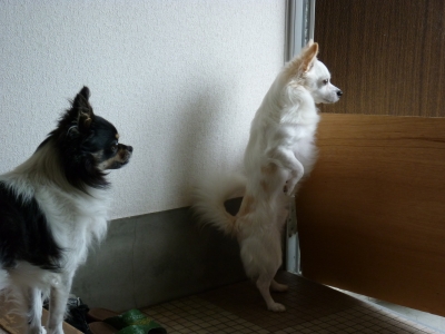 困った