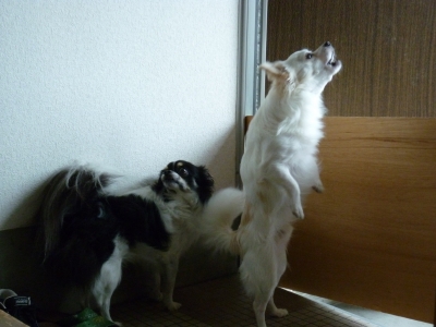困った