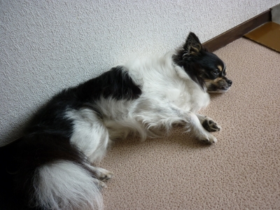 散歩