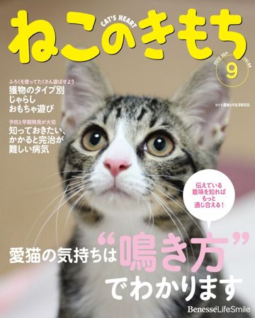 ねこのきもち