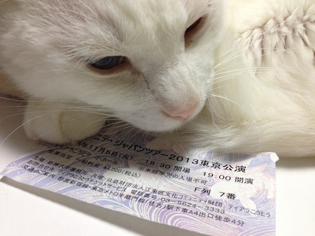 写真 2013-11-06 6 13 13.png