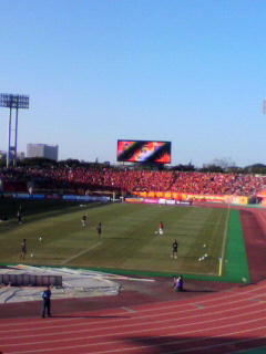 P1010654.jpg