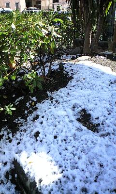 120124_1224~0001.jpg
