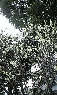 120307_1543~0001.jpg