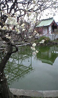 120307_1520~0001.jpg