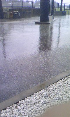 081128_0902~02.jpg